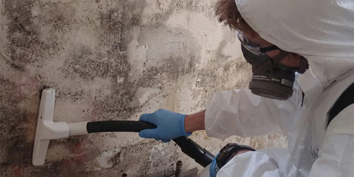 professional mold removal technician wearing protective equipment removing mold from a wall in Columbia, MO